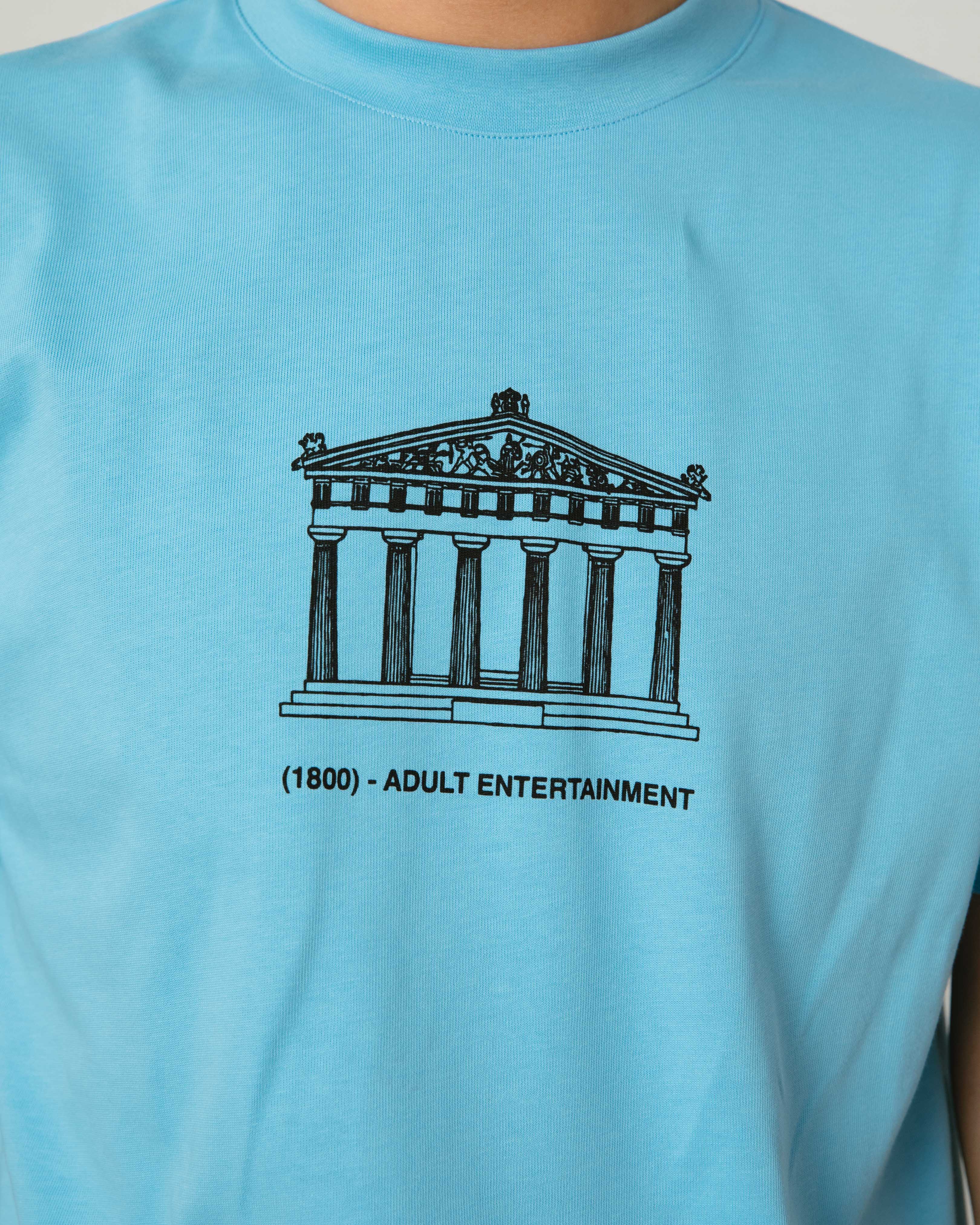 Adult Entertainment Blue T-Shirt - Image 6